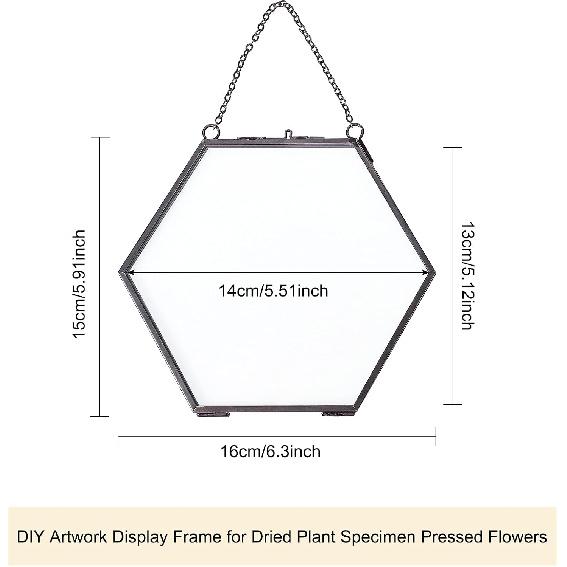 FINGERINSPIRE Hanging Glass Frame Brass Hexagon Wall Frames (6x6 Inches) for Display Pressed Plant Specimen Dried Flowers Black DIY Vintage Artwork