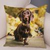 Mini Dachshund Cushion Cover Decor Pet Animal Pillowcase Sofa Home Children's Room Pillowcase