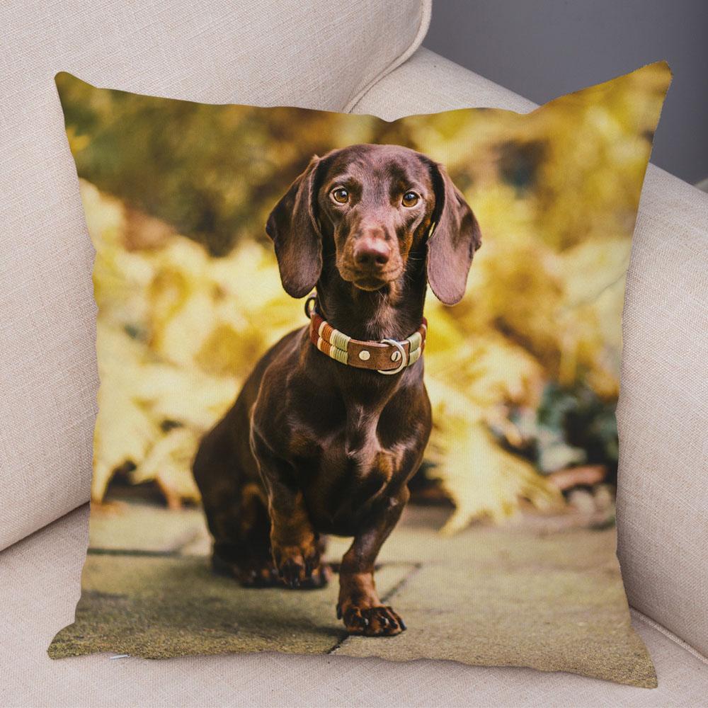 Mini Dachshund Cushion Cover Decor Pet Animal Pillowcase Sofa Home Children's Room Pillowcase
