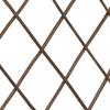 Willow Trellis Fence 5 pcs 180 x 120 cm