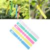 30 Pcs Gardening Garden Hang Tag Label Hanging Tree Seedling Plant Fruit Trees Signs Prompt Card Classification Tool