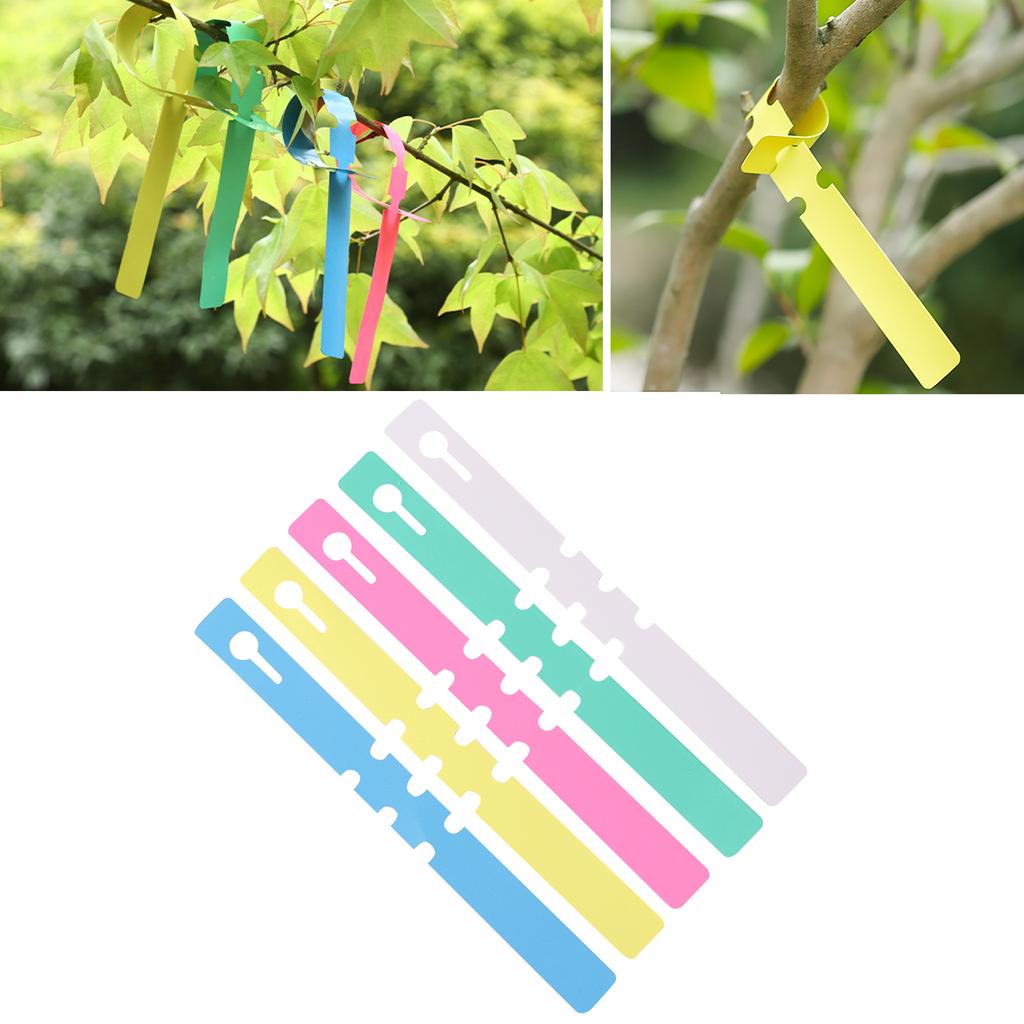 30 Pcs Gardening Garden Hang Tag Label Hanging Tree Seedling Plant Fruit Trees Signs Prompt Card Classification Tool