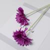Bolus Jamesonii Gerbera Flower Artificial Plant Ornament For Decor Home