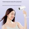 FLYCO 1800W Negative Ion Foldable Hair Dryer CN plug (adapter included)