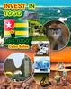 Книга INVEST IN TOGO - Visit Togo - Celso Salles : Invest In Africa Collection