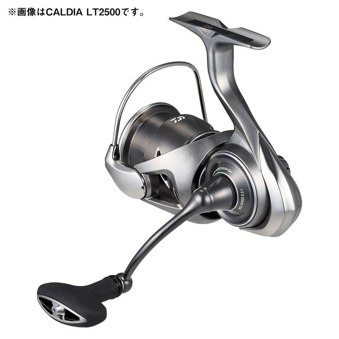 Спиннинговая катушка Daiwa Caldia FC LT2000S-H, Серебристая