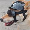 Comfortable Dog Sports Helmet Goggles Set with Shock Absorption Easy to Wear Design for Pet Outdoor Mountain Climbing