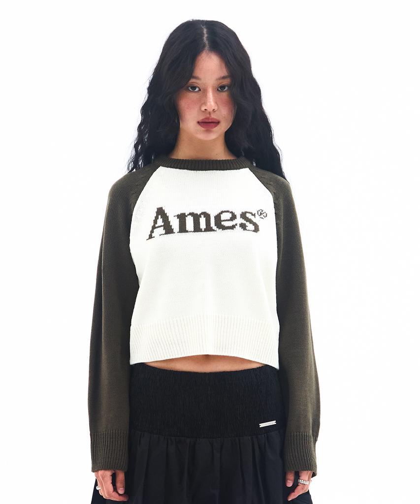 AMES-WORLDWIDE Basic Raglan Pullover Knit Khaki