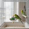 Bite Resistant Parrot Bell Pendant Colored Beads Parrots Chew Swing Bird Cage Toys  Beak Exercise
