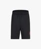 Шорты SPYDER мужские Big Punch Boxing Club Damboru 5,5 длины Spjfcntr204Mblk