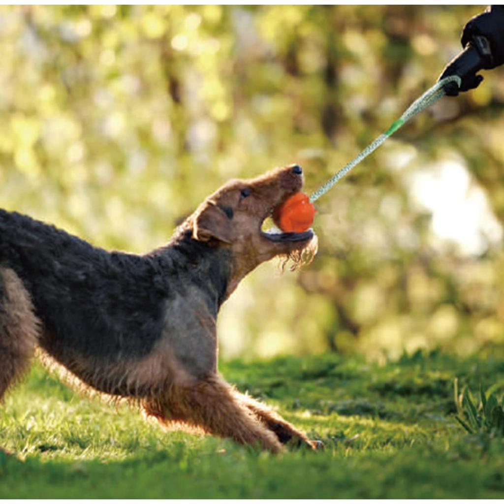 PLATZ PET SUPPLIES FUN GoFetch Dog Toy Ball Orange M Size & K-9
