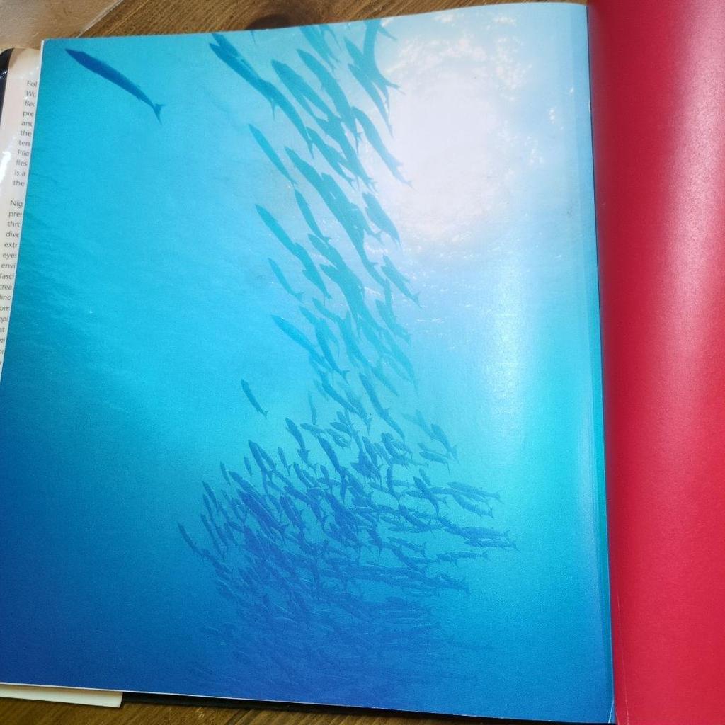 [ИСПОЛЬЗОВАННЫЕ] МОРСКИЕ МОНСТРЫ: Доисторические хищники