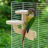 Wear Resistant Parrot Play Rack Bite Resistant Bird Training Stand  Parrot Cage