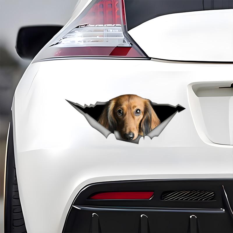 Car Stickers for Red Long-Haired Dachshund Hidden In Holes, Waterproof Irregularly Shaped Car Decoration Decals