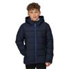 Regjun Boys Scholar Thermal Jacket