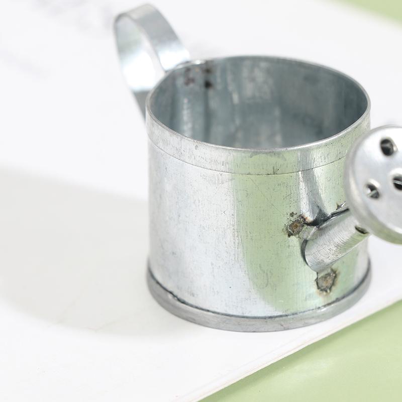 Ретро Железная Кожа Посыпка Мини Микро Ландшафтные Аксессуары Мини Украшения Дома Бумажный Опора