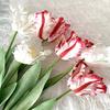 Yousheng Artificial Tulip Realistic Faux Flower with Leaves No Maintenance Faux Tulip for Home Decor Wedding Party Table Centerpiece