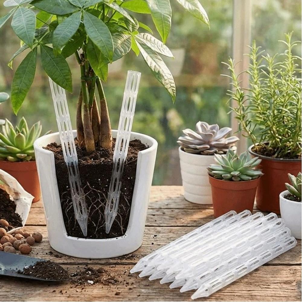 10PCS Plastic Plant Drainage Pipes Transparent Plant Root Ventilation  Potted Plants