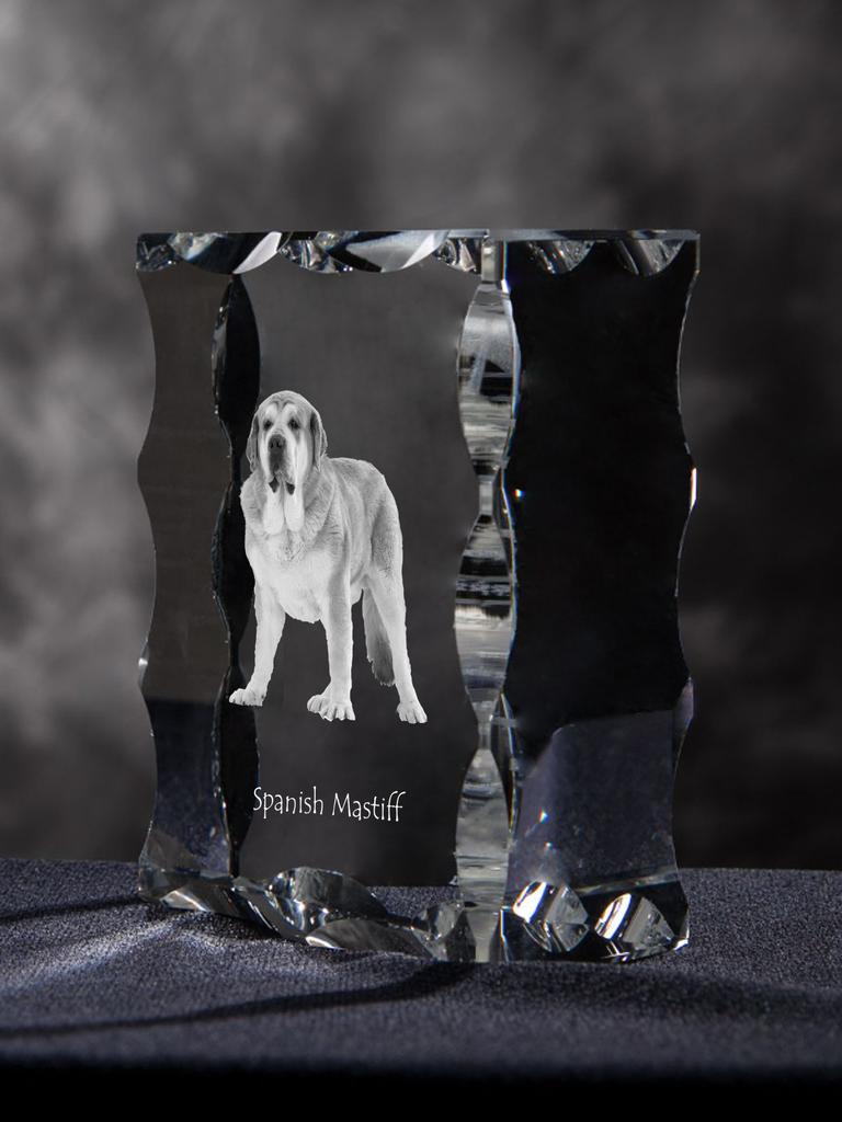 Spanish Mastiff, Mastín Español – Crystal with a picture of a dog, glass statuette with a picture | Art-Dog