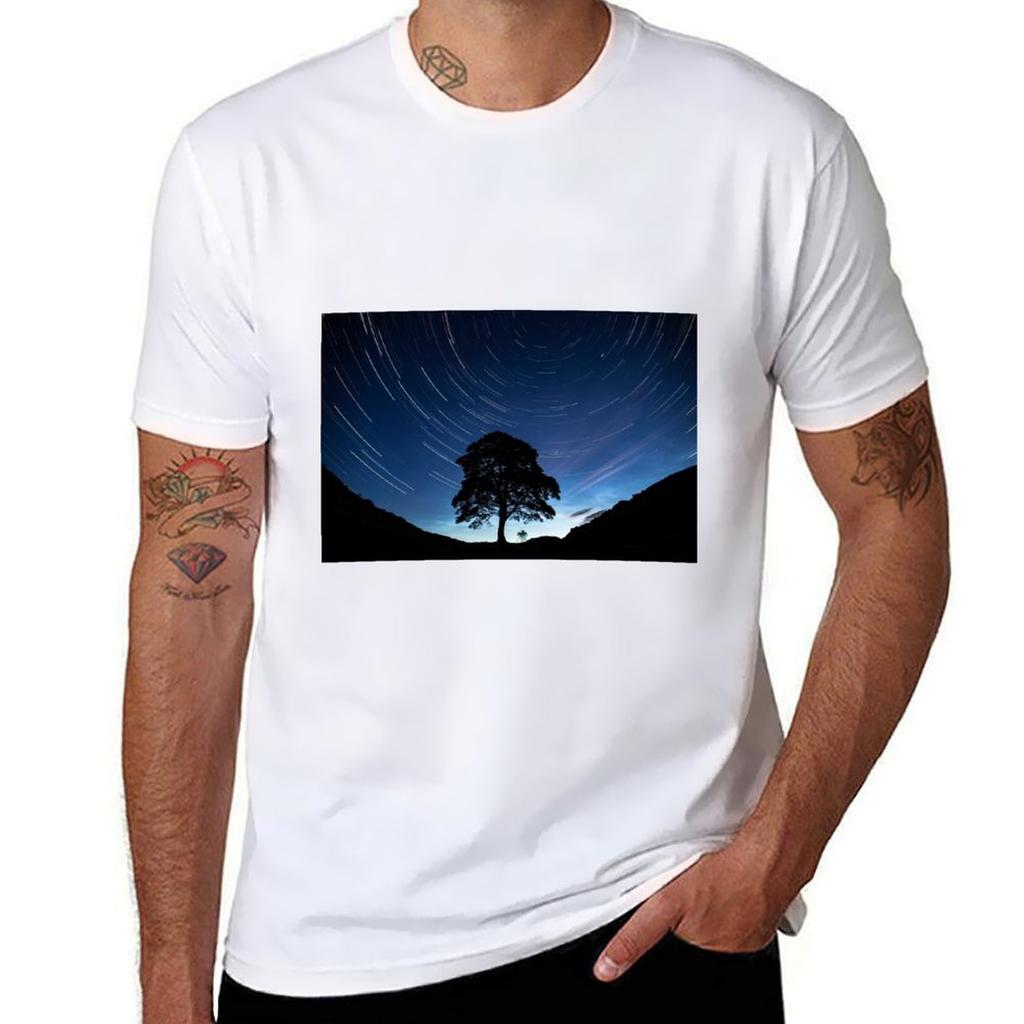Solstice Trails Tshirt Sporty Breathable Short Sleeve Tshirt