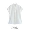 Spring 2025 Women's Fashion: European & American Style Versatile Casual Crepe Drapey Shirt