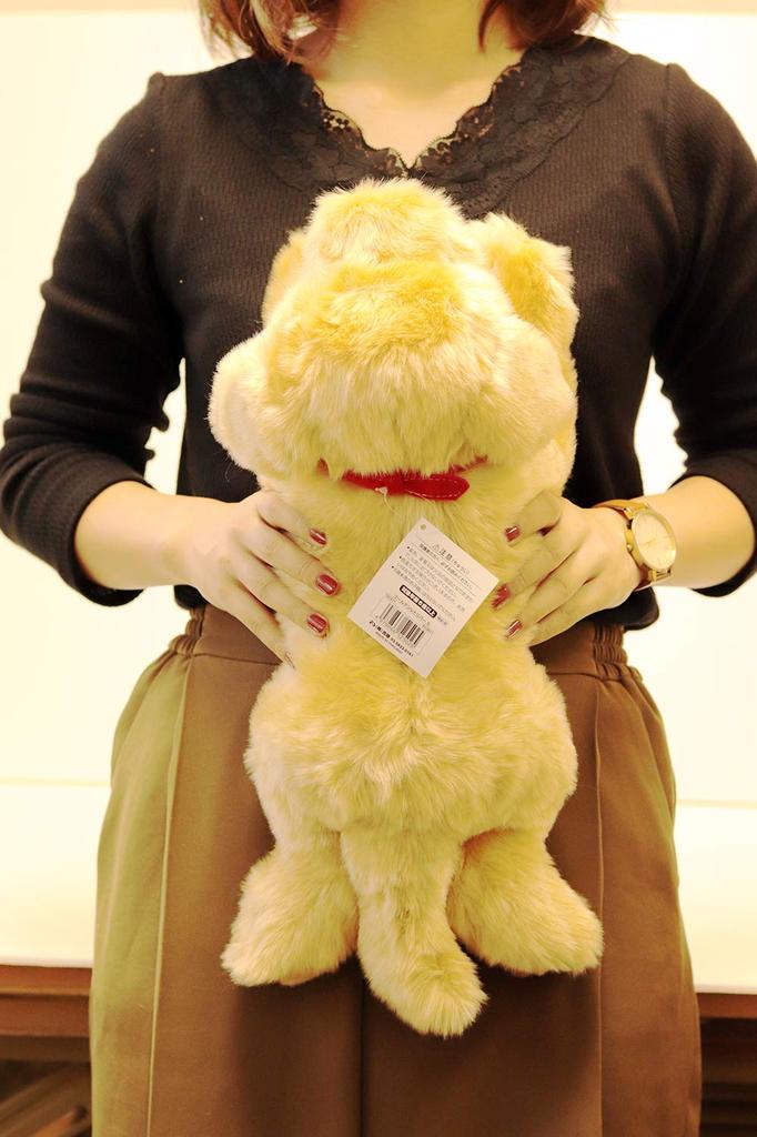 Yoshinori Golden Retriever Plush Toy S 180371