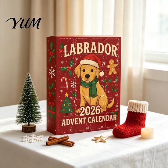 Seasonal Gift Box for Kids 2026 Labrador Advent Calendar, 24 Days 2D Flat Acrylic Dog Ornaments Christmas Indoor Festive Hanging Countdown Collectible