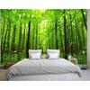 Фотообои 3D Natural Forest Landscape Wall Mural Гостиная Спальня Обои Домашнее украшение Murals