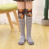 3D Cartoon Pure Cotton Mid-Calf & Knee-High Socks for Girls - Cute Spring/Autumn Wear
