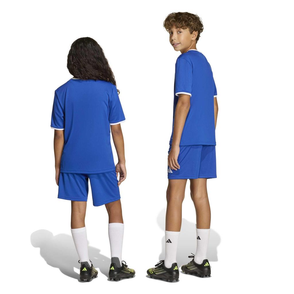 Adidas Soccer ENTRADA 26 Team Royal Size 130 Shorts, Kids' Shorts, Unisex, P1692, Blue/White (JZ6524),