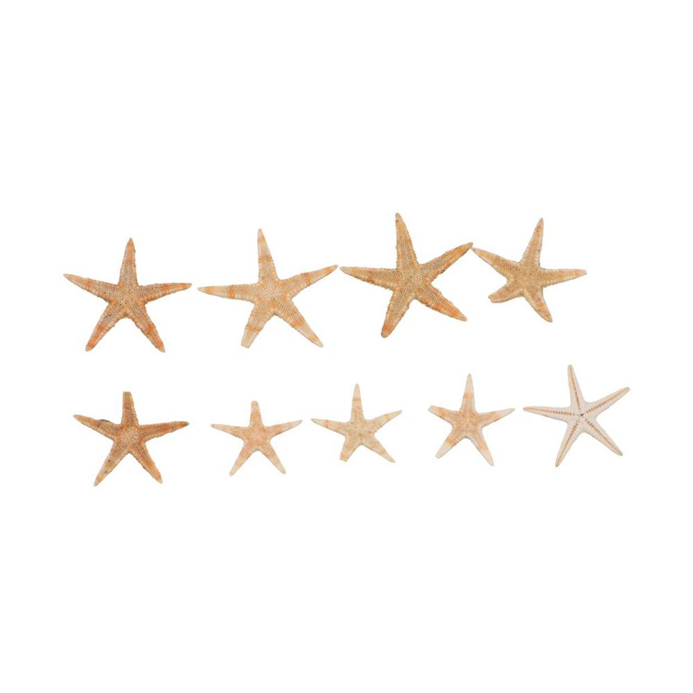 Conch Sea Shells for Aquatic Pet Starfish Fish Tank Decoration Aquarium Supplies Resin Casting