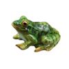 Frog – как на картинке