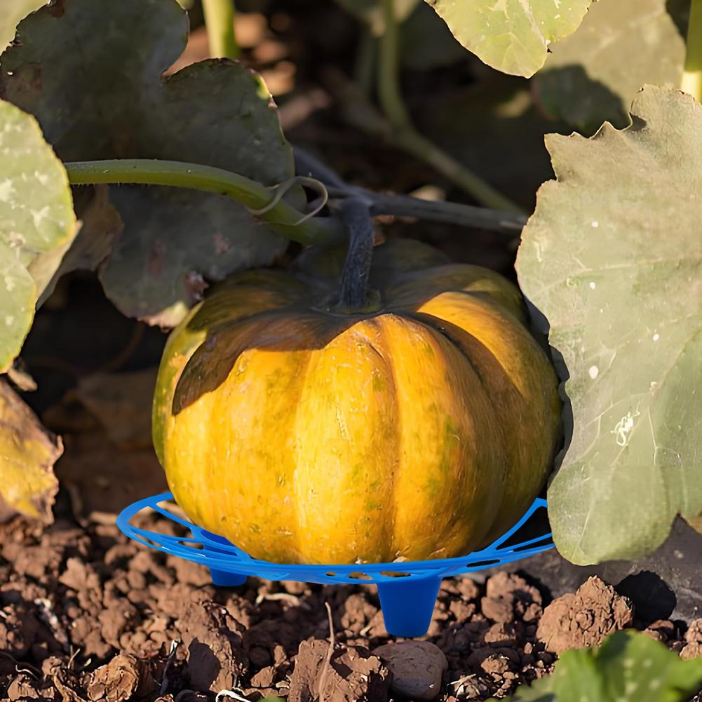 5/10 шт. Подставка для арбуза, антикоррозионная, подставка для тыквы, держатель для арбуза, арбуза, тыквы, дыни, кабачка