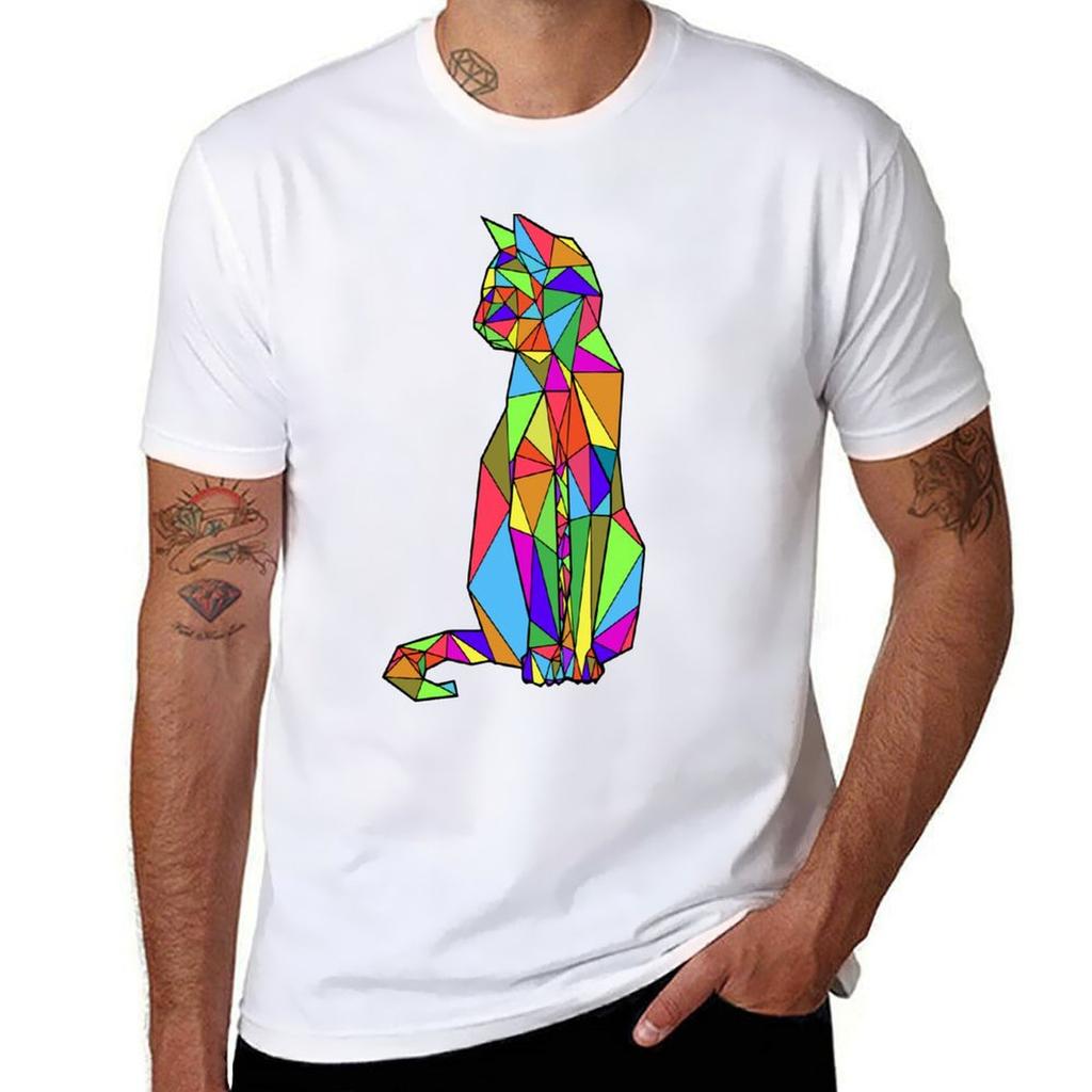 Geometric Rainbow Cat Tshirt Big Size Loose Fit Tee Shirt