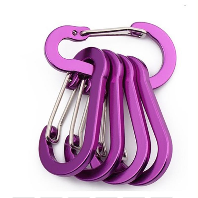 5 PCS Carabiner Clips Mini Aluminum Alloy Keychain Carabiner Clip D Rings for Outdoor Camping Hiking Fishing Backpacking