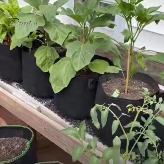 Нетканый мешок для посадки, уличный садовый горшок для растений с усиленными ручками, дышащий мешок большой емкости для выращивания помидоров и картофеля