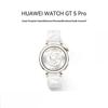 Huawei Умные часы WATCH GT5 Pro (Китайская версия)