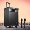 Edifier PW312 12-дюймовая уличная сценическая акустическая система, разъем CN (адаптер в комплекте)
