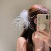 Корейская заколка для волос с перьями: 2024 Женская большая заколка-акула - изысканный аксессуар для волос в осеннем стиле