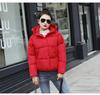 Korean small cotton-padded jacket European and American hooded cotton-padded clothes women's short loose student bread clothes cotton-padded cl