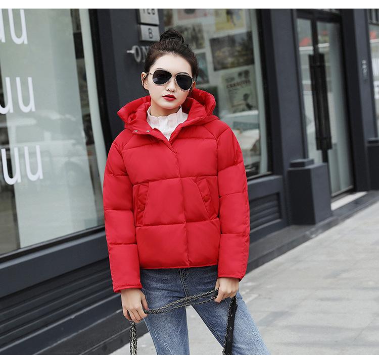 Korean small cotton-padded jacket European and American hooded cotton-padded clothes women's short loose student bread clothes cotton-padded cl