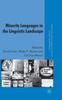 Книга Minority Languages In the Linguistic Landscape
