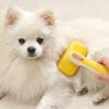 Dangle Pet Hair Removal One-touch Brush K04, C Type (yellow + Purple..., 1 Piece), Korean Pet Shampoo