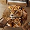 1PC lioness cubs Office Round Area Rug, Under Office Chairs Bedroom Living Room Home Decor, Carpet for Office -1110113