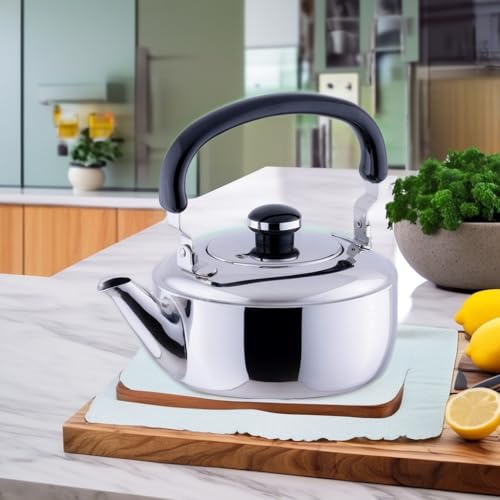 Miyazaki Seisakusho Чайник OJ-9 Object, 0,4 галлона (1