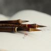 For Art Drawing Student Chinese Brushes Calligraphy Brushes Script Writing Brush Painting Practice