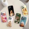 S-Сабрина C-Карпентер Певица Чехол для телефона Силиконовый Мягкий Для IPhone 17 16 15 14 13 12 11 X XR Plus Pro Max Plus