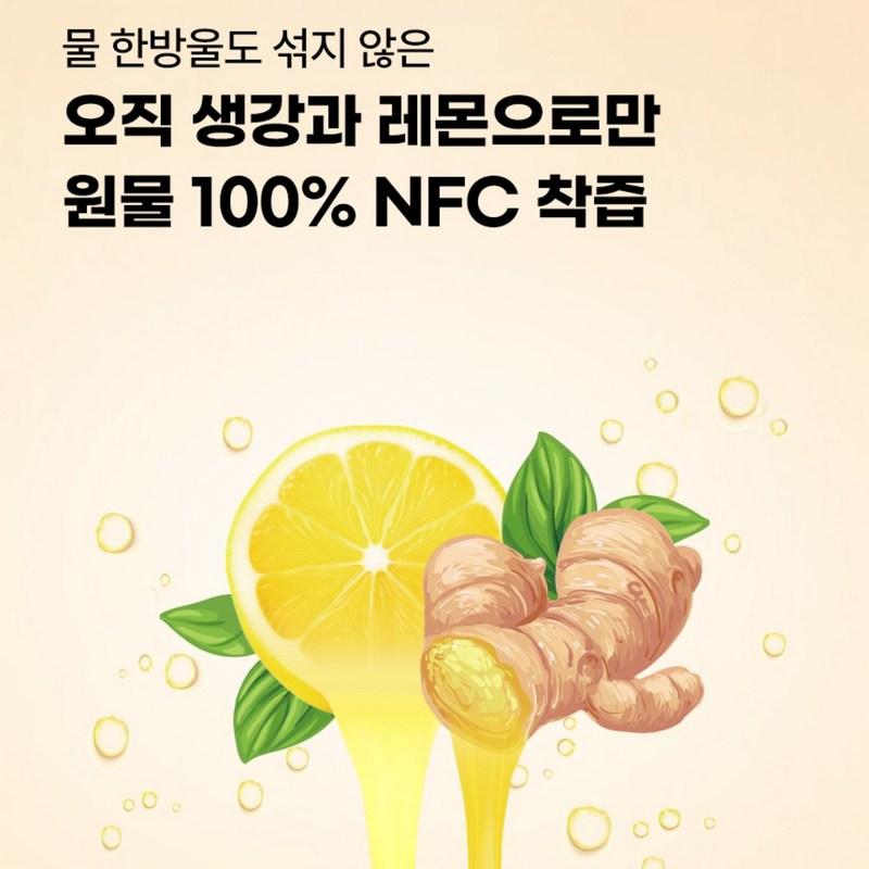 Healthy Routine Organic Lemon Ginger Juice Concentrate 100% Stick, 210g, 1 Piece