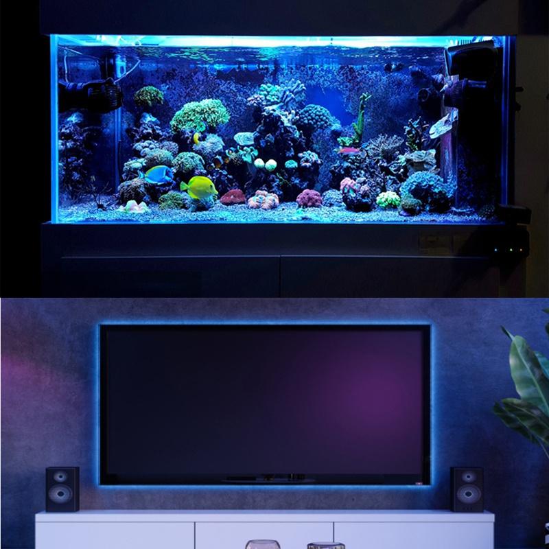 DC24V LED Strip Lights Bluetooth RGB Tape 10-25M SMD 5050 Festoon Led Light for Room Decoration Lighting TV Backlight APP Control Strip