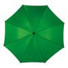 L-Merch Wooden Handle Automatic Stick Umbrella